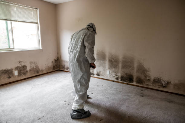 Best Emergency Mold Remediation  in Trooper, PA